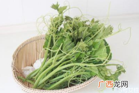 南瓜尖怎么去毛南瓜尖的功效和作用