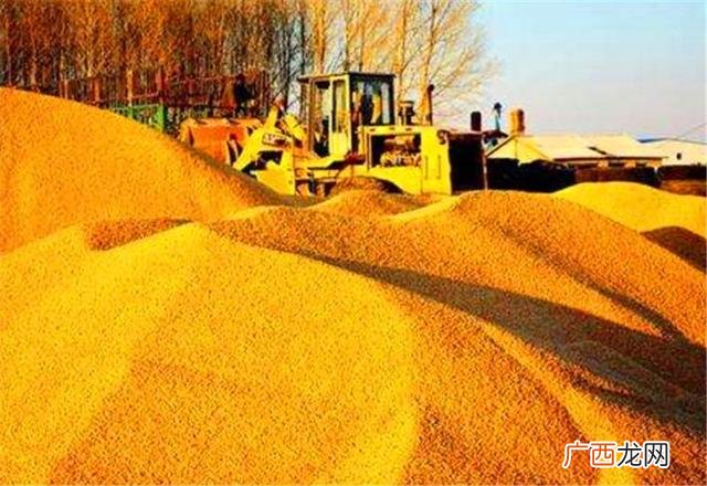 农村现在什么最赚钱 农村做啥赚钱