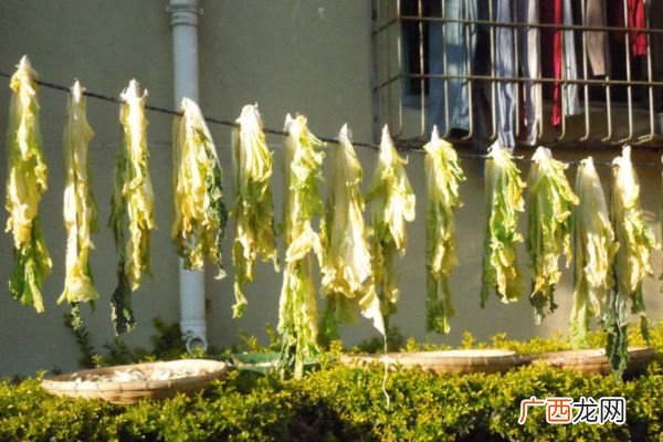 白菜怎么腌好吃腌白菜好吃的做法