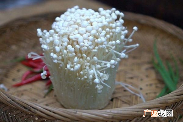 吃金针菇会胖吗金针菇的热量有多少