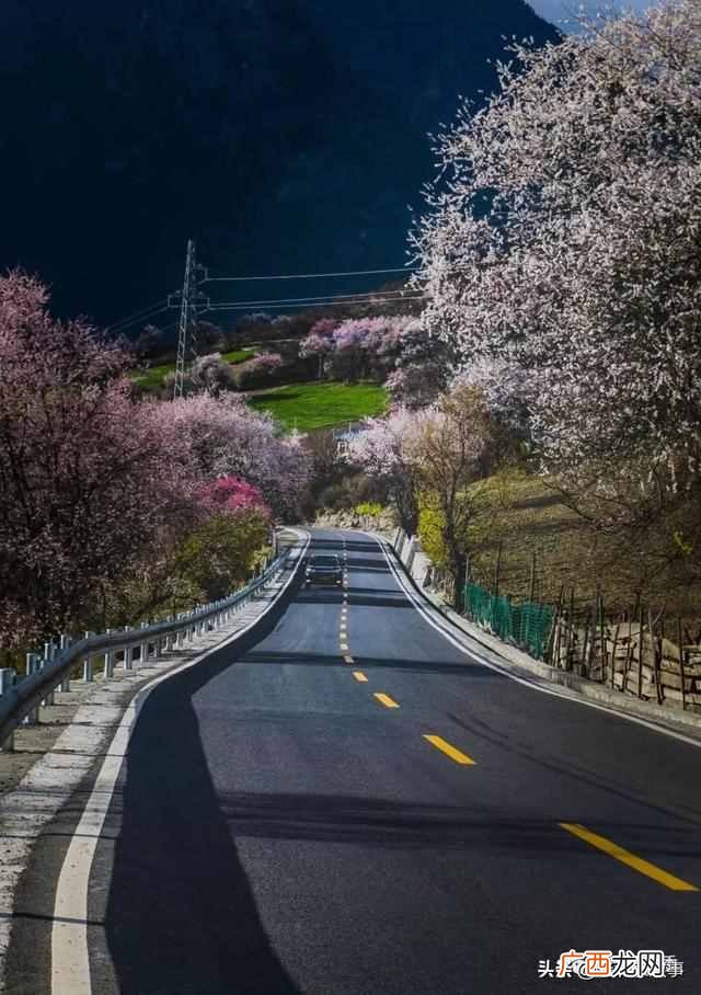 北京到西藏的风景，每一张都美不胜收