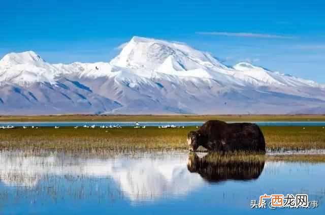 北京到西藏的风景，每一张都美不胜收