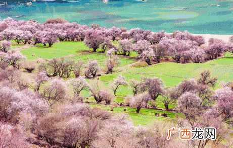 北京到西藏的风景，每一张都美不胜收