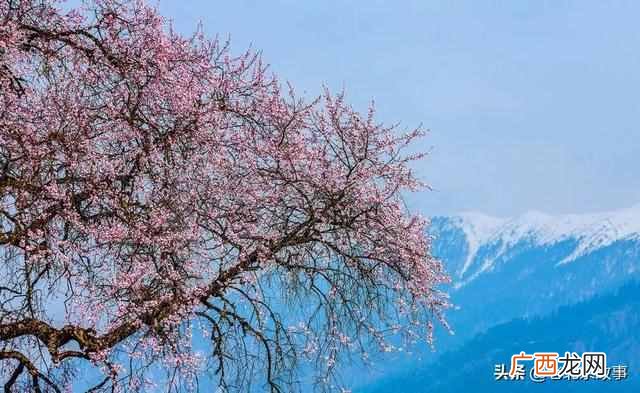 北京到西藏的风景，每一张都美不胜收