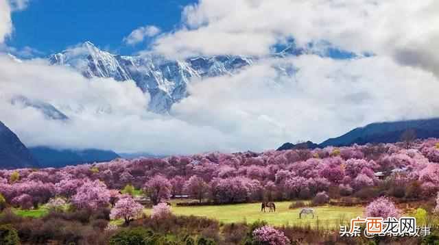 北京到西藏的风景，每一张都美不胜收