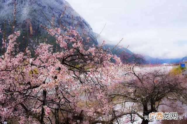 北京到西藏的风景，每一张都美不胜收