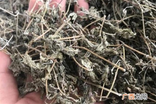 溪黄茶的功效与作用溪黄茶可以长期喝吗