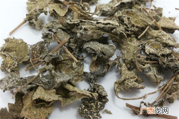 溪黄茶的功效与作用溪黄茶可以长期喝吗