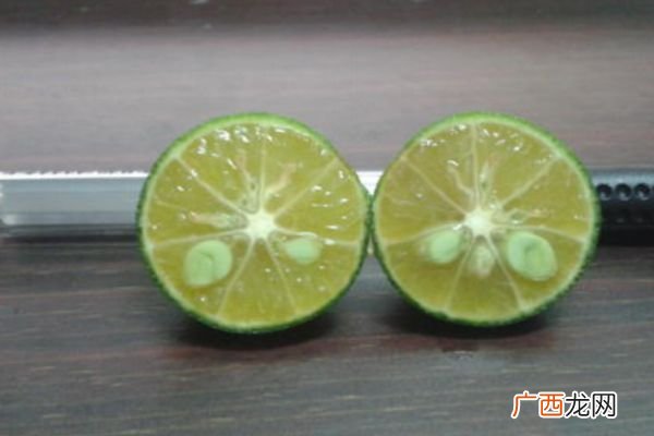 青桔柠檬水的做法做青桔柠檬水的正确步骤