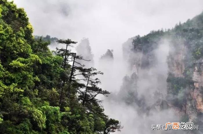 中国最有诗意的48张典藏照片 诗意图片