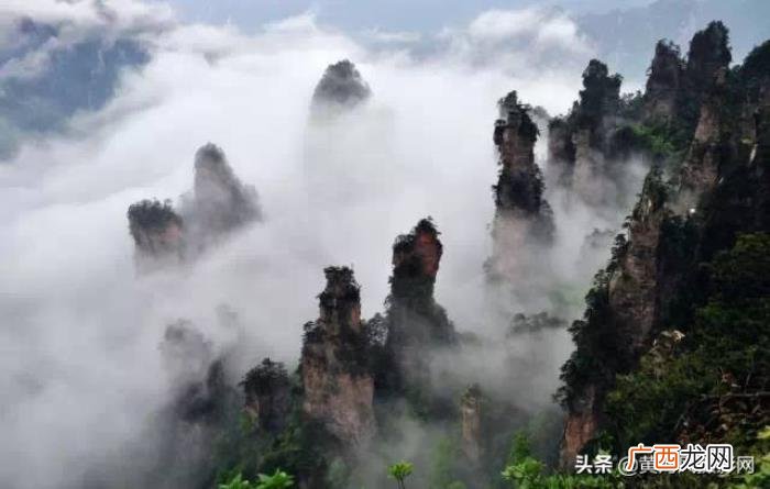 中国最有诗意的48张典藏照片 诗意图片