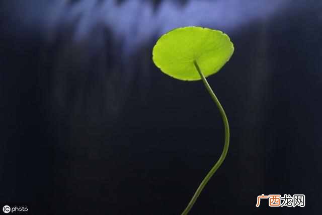 什么是业务员?做业务员没经验没关系,教你几