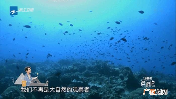从极速前进到漫游记 极速前进冠军
