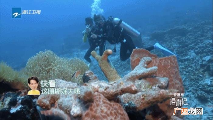 从极速前进到漫游记 极速前进冠军