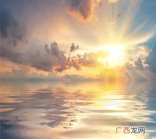 鸿鹄是什么鸟？我活了28年居然没见过这种鸟