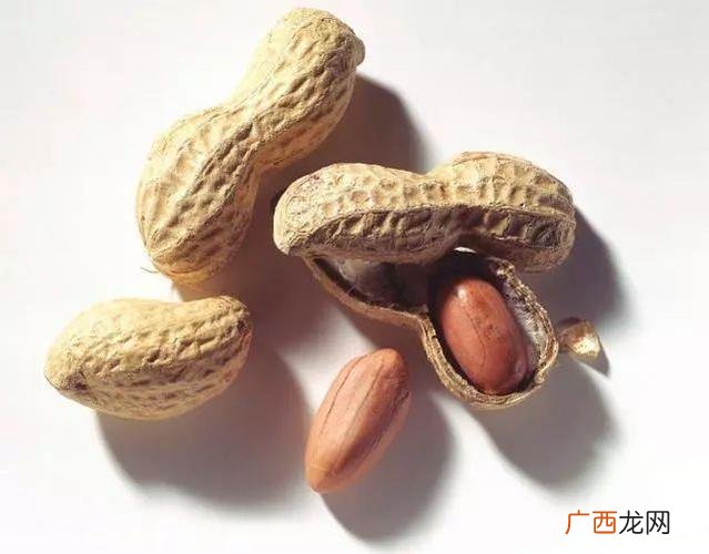 花生壳能代替秸秆直接喂牛么 花生壳喂牛技术