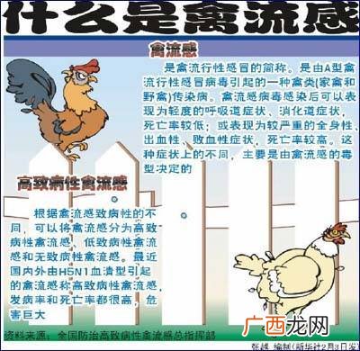 禽流感防控技术指南 禽流感防治关键技术