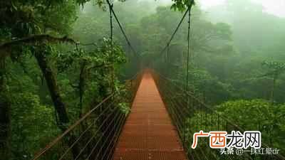 所谓的人走茶凉什么意思？只有经历过才能体会