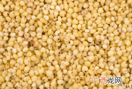 高粱米要泡多久才能煮饭高粱米煮粥多久能熟