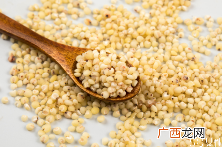 高粱米要泡多久才能煮饭高粱米煮粥多久能熟