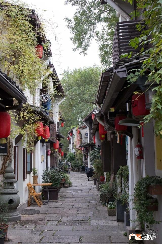 开粉店一天只卖了40碗,中国开的最成功的面馆是谁