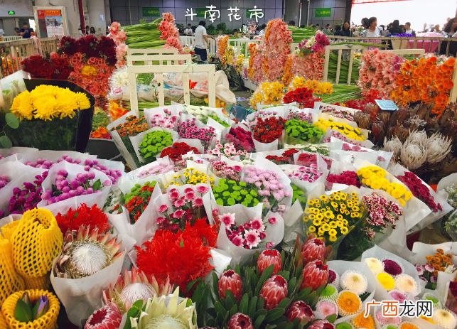 云南花卉市场 中国 云南的花卉市场