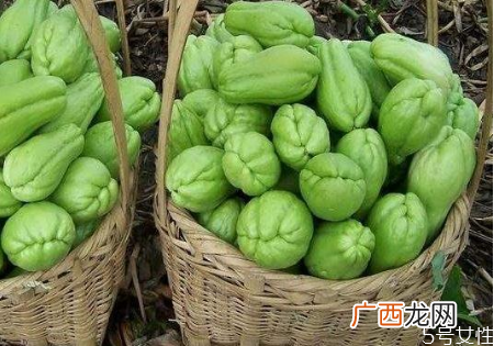 孕妇可以吃佛手瓜吗佛手瓜怎么做好吃