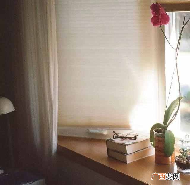 和颜悦色的含义是什么？