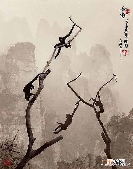 水墨丹青是什么意思？水墨丹青画鉴赏
