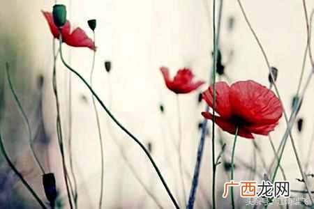 物是人非什么意思？再见以是物是人非