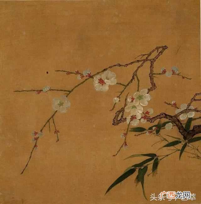 郑板桥擅长画什么植物？