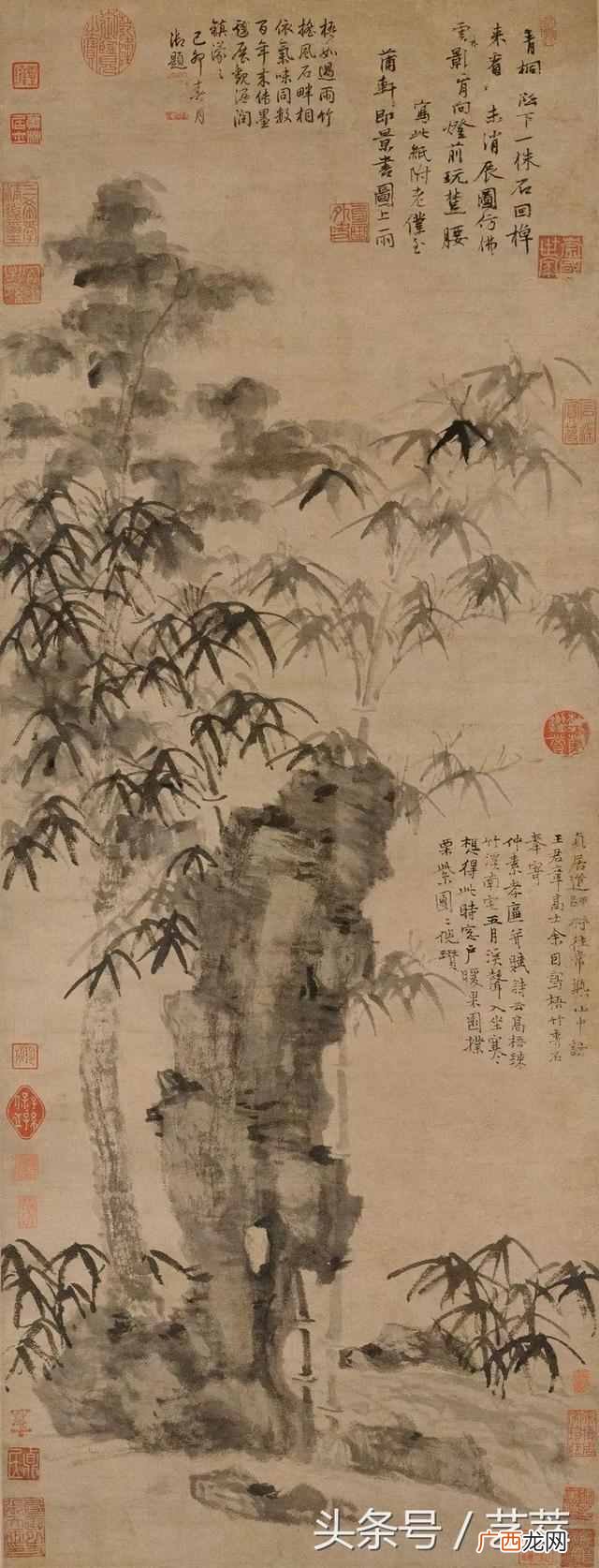 郑板桥擅长画什么植物？