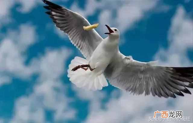 焦距是什么？摄像大师教你摄影入门知识