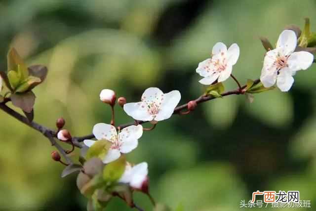 焦距是什么？摄像大师教你摄影入门知识