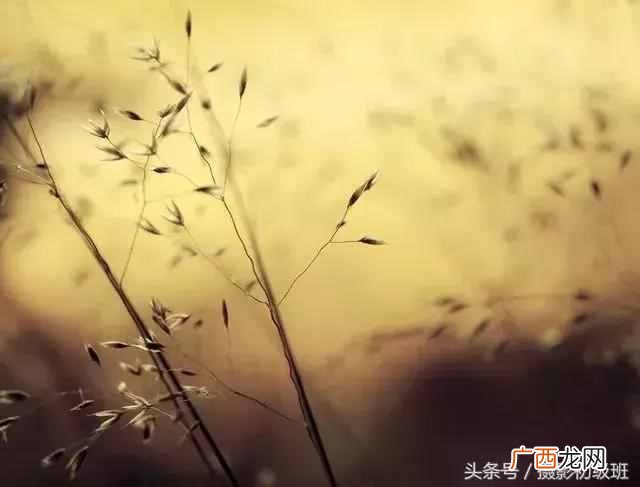 焦距是什么？摄像大师教你摄影入门知识
