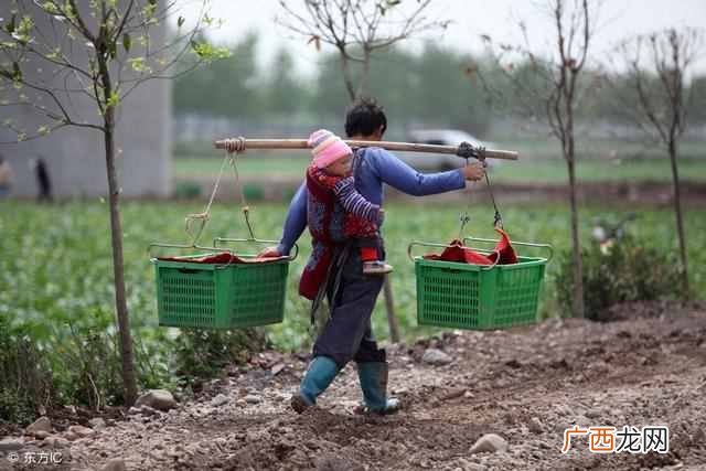 父爱是什么？看完我哭了