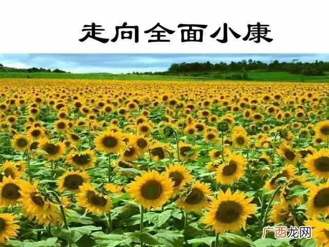 什么是小康社会？小康社会的标准是什么