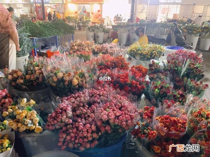 广州市花卉市场 广州花卉市场花卉价格行情