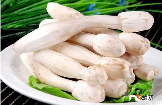 鸡腿菇没炒熟吃了会中毒吗鸡腿菇没熟会怎样