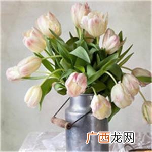 中年网名女 中年女人取什么网名好