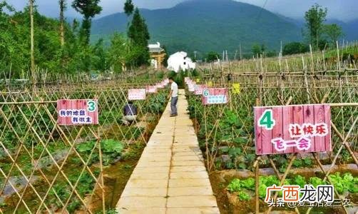 农村代理什么产品最赚钱,农村搞什么批发最赚钱