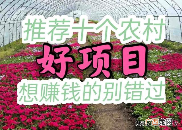 农村代理什么产品最赚钱,农村搞什么批发最赚钱