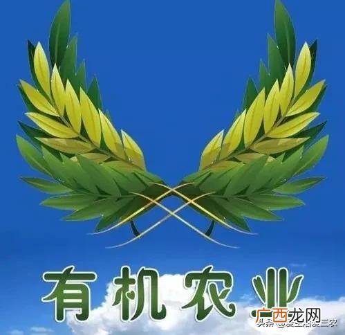 农村代理什么产品最赚钱,农村搞什么批发最赚钱