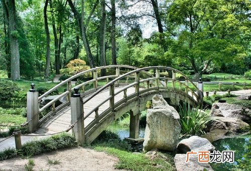 园林景观网 景区园林专业