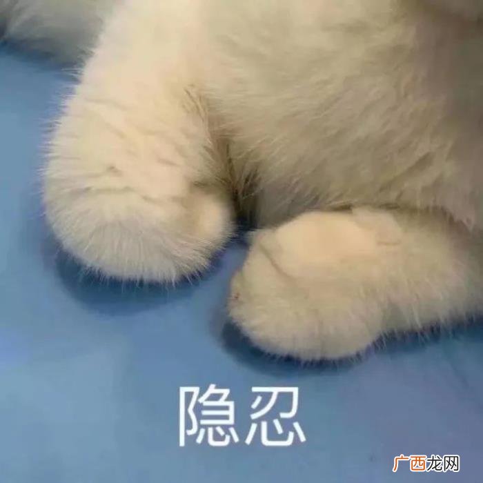 被夸可爱如何回复幽默，男生被男生夸你真可爱