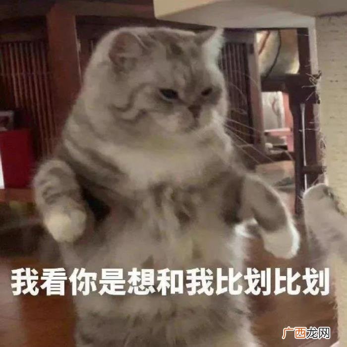 被夸可爱如何回复幽默，男生被男生夸你真可爱