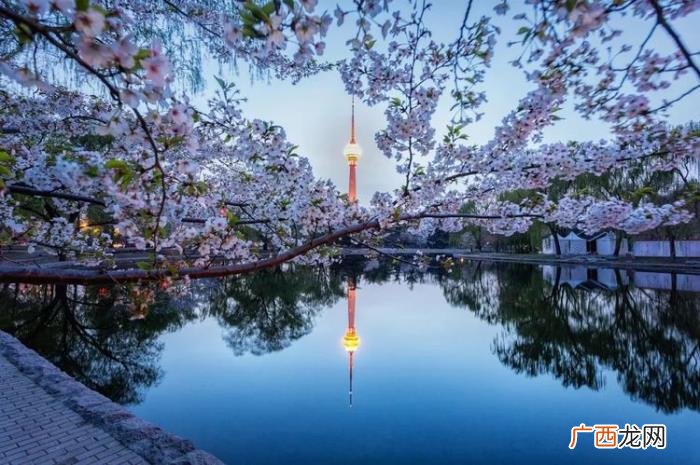 10句适合朋友圈的旅行金句 旅行的句子