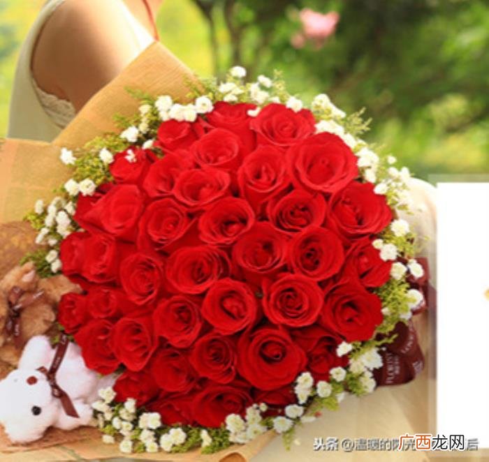 挽回女友送什么花合适，想和前女友复合应该送什么花
