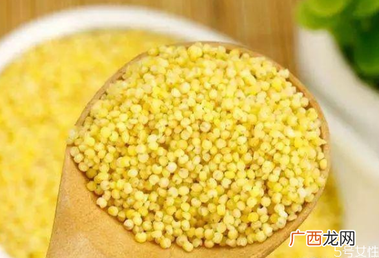 最适合减肥吃的主食低热量主食一览表