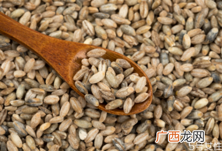 青稞米要泡多久才能煮饭青稞米怎么做好吃